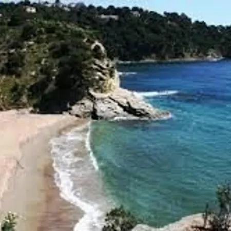 Climatise, Parking, Animaux Admis - Fr-1-100-221 Cavalaire-sur-Mer