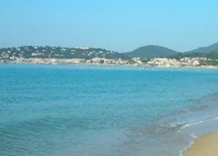 Climatise, Parking, Animaux Admis - Fr-1-100-221 Cavalaire-sur-Mer